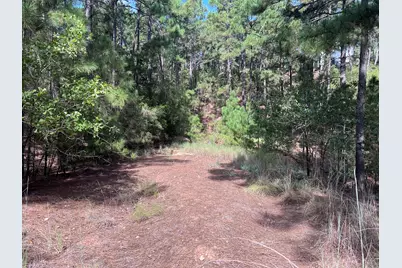 Tbd Okoe Court W, Bastrop, TX 78602 - Photo 2