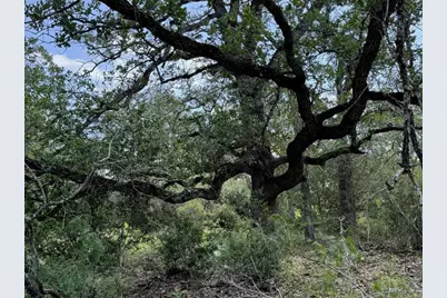 Tbd County Road 482 Road, Gonzales, TX 78629 - Photo 22