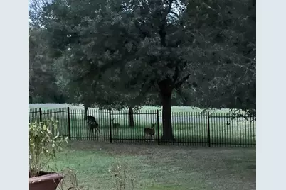 1005 Colorado Street, Smithville, TX 78957 - Photo 26