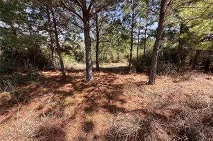 Tbd Hula Ln, Bastrop, TX 78602 - Photo 1