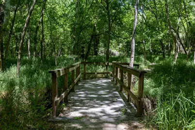 Tbd Hula Lane, Bastrop, TX 78602 - Photo 8