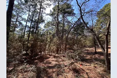 Tbd Hula Lane, Bastrop, TX 78602 - Photo 4