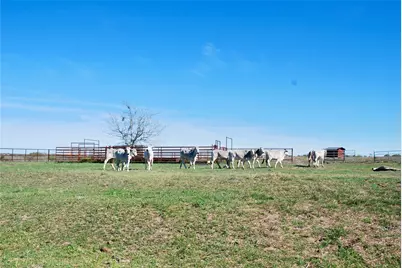 Tbd State Hwy 95 Highway N, Moulton, TX 77975 - Photo 16