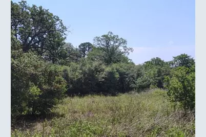 142 Meduna Road, Smithville, TX 78957 - Photo 4