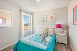 2832 Rosefinch, New Braunfels, TX 78130 - Photo 12