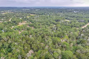 319 Green Oaks Dr, Bastrop, TX 78602 - Photo 14