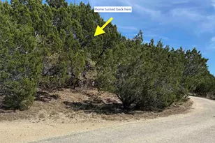 199 Harmony Wood Ln, Dripping Springs, TX 78620 - Photo 22