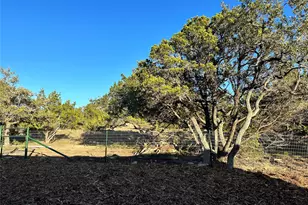 199 Harmony Wood Ln, Dripping Springs, TX 78620 - Photo 10