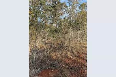 156 Helemano Drive, Bastrop, TX 78602 - Photo 2