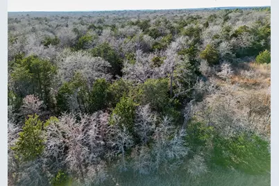 Lot 15 Antioch Road, Paige, TX 78659 - Photo 1