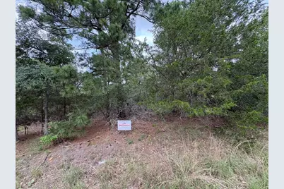 0 Kaelepulu Lot 240 Drive, Bastrop, TX 78602 - Photo 8
