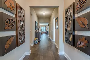 115 Laughing Pear Cv, San Marcos, TX 78666 - Photo 6