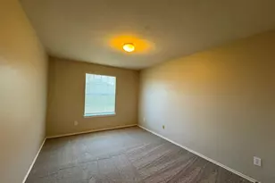 119 Peppergrass Cove, Kyle, TX 78640 - Photo 22