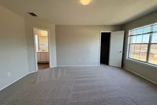 119 Peppergrass Cove, Kyle, TX 78640 - Photo 28