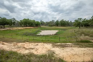132 Roemer Ln W, Floresville, TX 78114 - Photo 38