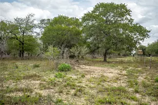 132 Roemer Ln W, Floresville, TX 78114 - Photo 24