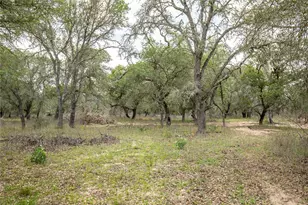 132 Roemer Ln W, Floresville, TX 78114 - Photo 22