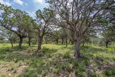 19705 Tyler Trail, Jonestown, TX 78645 - Photo 12