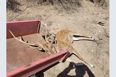 Tbd County Road 450, Rocksprings, TX 78880 - Photo 22
