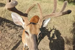 3011 Wadsworth Way, Austin, TX 78748 - Photo 26