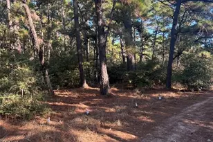 Lot 43 Pine Lodge Dr, Bastrop, TX 78602 - Photo 1