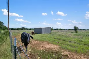 1100-1150 County Road 308 Rd, Jarrell, TX 76537 - Photo 10