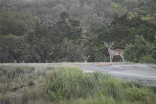 3777 Middle Creek Rd, Blanco, TX 78606 - Photo 34