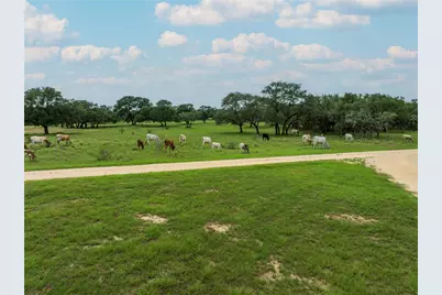 15545 Tx-111 E, Yoakum, TX 77995 - Photo 10