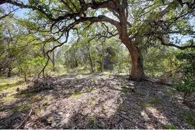 1001 Bluff View Road, Wimberley, TX 78676 - Photo 10