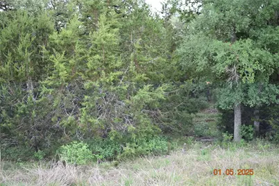 2315 Haven Bluff Court, New Braunfels, TX 78132 - Photo 18