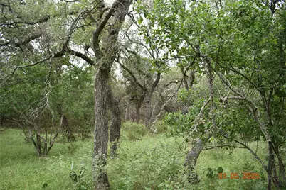 2315 Haven Bluff Court, New Braunfels, TX 78132 - Photo 6