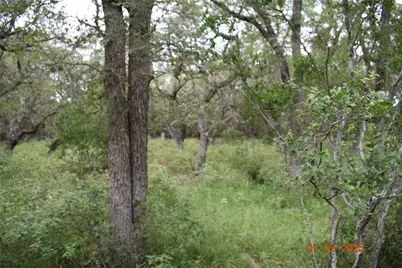 2315 Haven Bluff Court, New Braunfels, TX 78132 - Photo 8