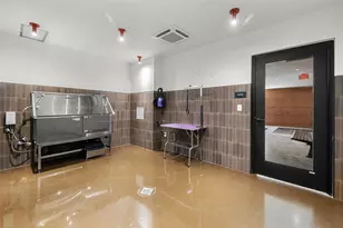 4315 S Congress Ave, Austin, TX 78745 - Photo 14