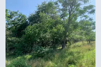 262 Colovista Parkway, Bastrop, TX 78602 - Photo 8