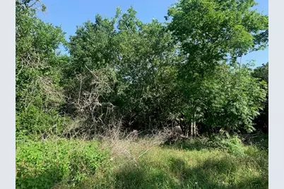 262 Colovista Parkway, Bastrop, TX 78602 - Photo 6