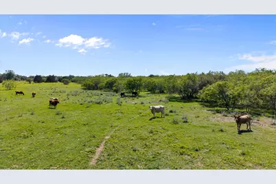 3628 S Highway 304, Rosanky, TX 78953 - Photo 16