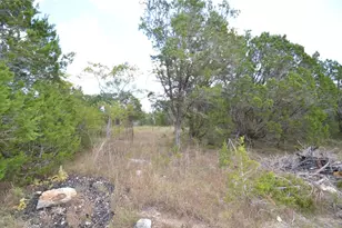 360 Jennifer Ln, Driftwood, TX 78619 - Photo 10