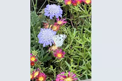 1850 Settlers Glen Drive #3004, Round Rock, TX 78665 - Photo 24