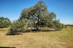 603 Watterson Rd, Bastrop, TX 78602 - Photo 36
