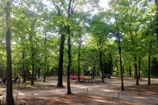 390 Christensen Rd, Elgin, TX 78621 - Photo 18