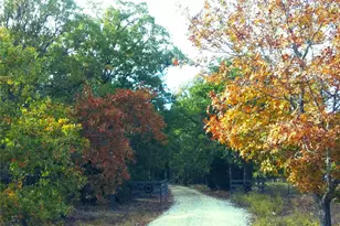 390 Christensen Rd, Elgin, TX 78621 - Photo 20