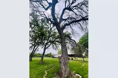 309 Remuda, Liberty Hill, TX 78642 - Photo 4