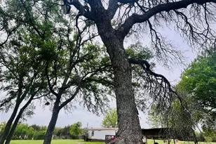 309 Remuda, Liberty Hill, TX 78642 - Photo 4