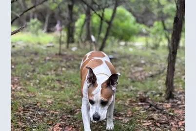Tbd Tracts 10 & 22 Goat Hill Road, Lakehills, TX 78063 - Photo 6