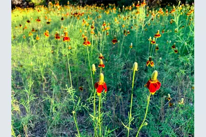 1041 Hidden Hills Hills, Dripping Springs, TX 78620 - Photo 26