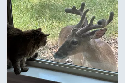 1041 Hidden Hills Hills, Dripping Springs, TX 78620 - Photo 32