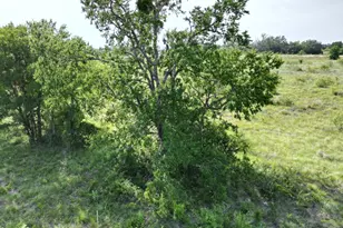 Lot 32 Serenity Dr, Bertram, TX 78605 - Photo 6