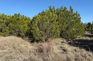 188 Whispering Wind Rd, Bertram, TX 78605 - Photo 2