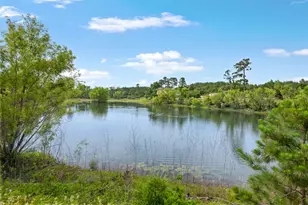 493 Cottletown Rd, Smithville, TX 78957 - Photo 38