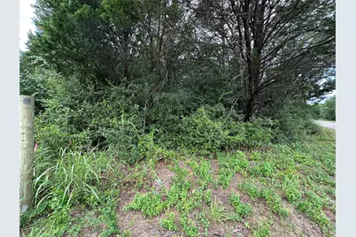 Lot 8 Green Valley Road, Bastrop, TX 78602 - Photo 4